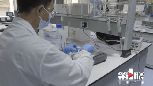 鄭州軟件開發(fā)實(shí)驗(yàn)室創(chuàng)新研發(fā) 巴適精品綠色毛肚，引領(lǐng)健康美食新潮流